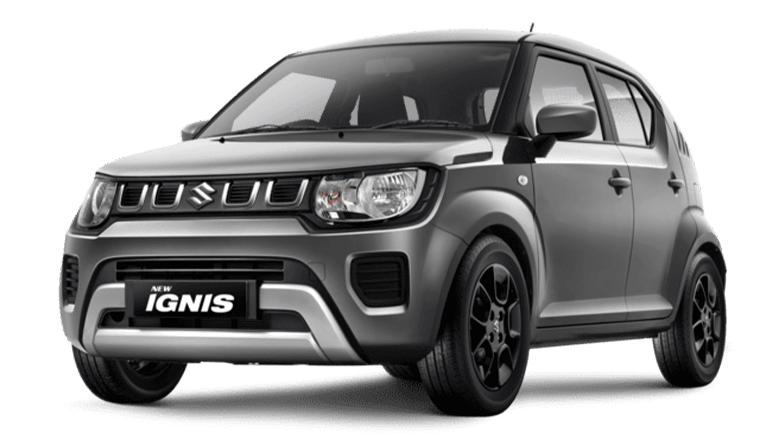 glisteringgrey NEW IGNIS 1 e1695432751391